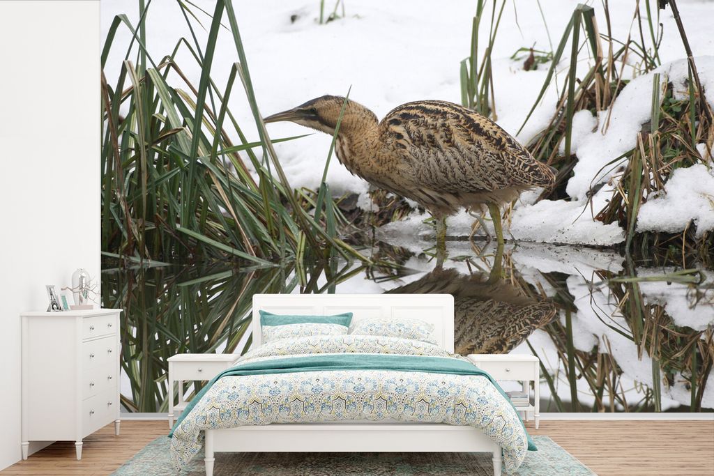 MuchoWow Fototapete für Wohnzimmer oder Schlafzimmer Wandtapete Vinyl Motivtapete Rohrdommel auf der Jagd im Wasser - 525x350 cm - Das Hintergru...