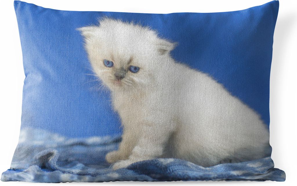 MuchoWow Outdoor Kissen - Kätzchen - Kleid - Blau - Mädchen - Jungen - Kinder - 60x40 cm - Wetterfest - Lounge Kissen - Zierkissen - Kissen fü...