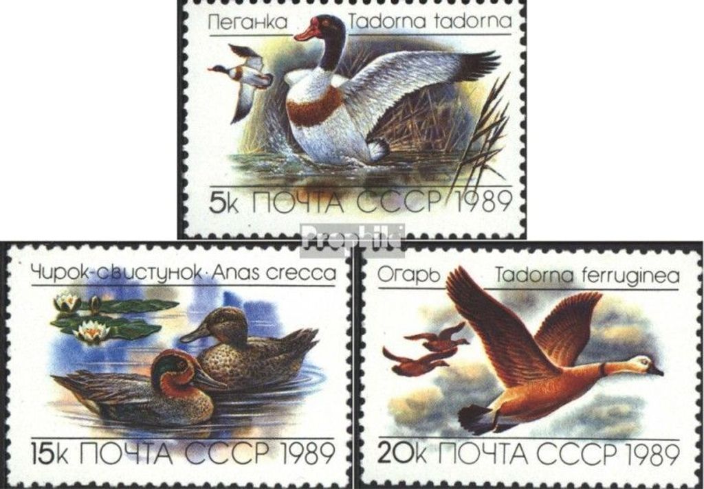 Briefmarken Sowjetunion 1989 Mi 5965-5967 (kompl.Ausg.) gestempelt Enten und Gänse