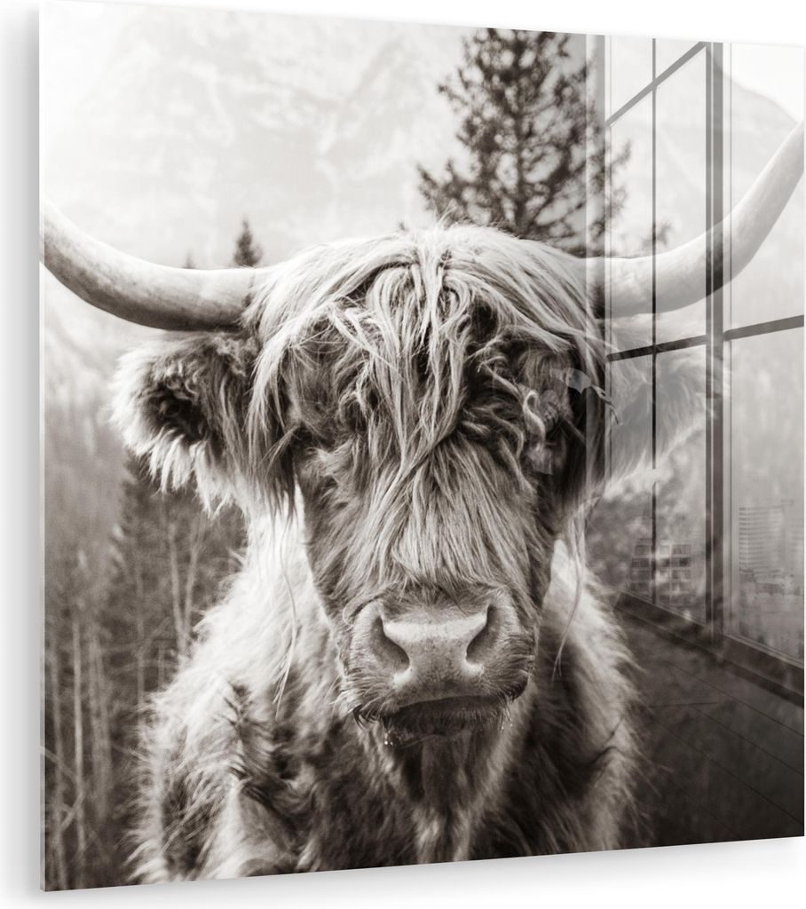 MuchoWow Glasbilder - Bilder auf Wandbild - Foto auf Glas Schottisches Hochlandrind - Kuh - Tiere - Schwarz - Weiß 50x50 cm Wanddekoration aus Gla...