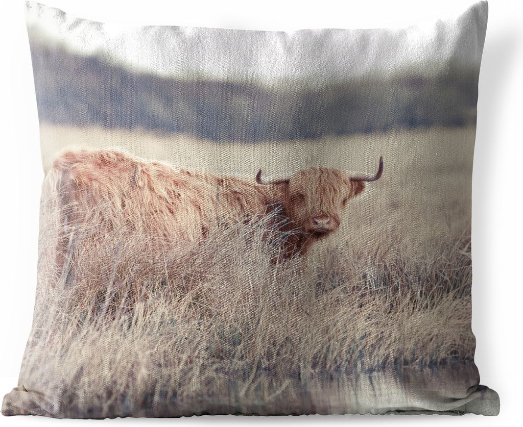 MuchoWow Outdoor Kissen - Scottish Hochlandrind - Landschaft - Gras - 60x60 cm - Wetterfest - Lounge Kissen - Dekoration - Schlaf Kissen
