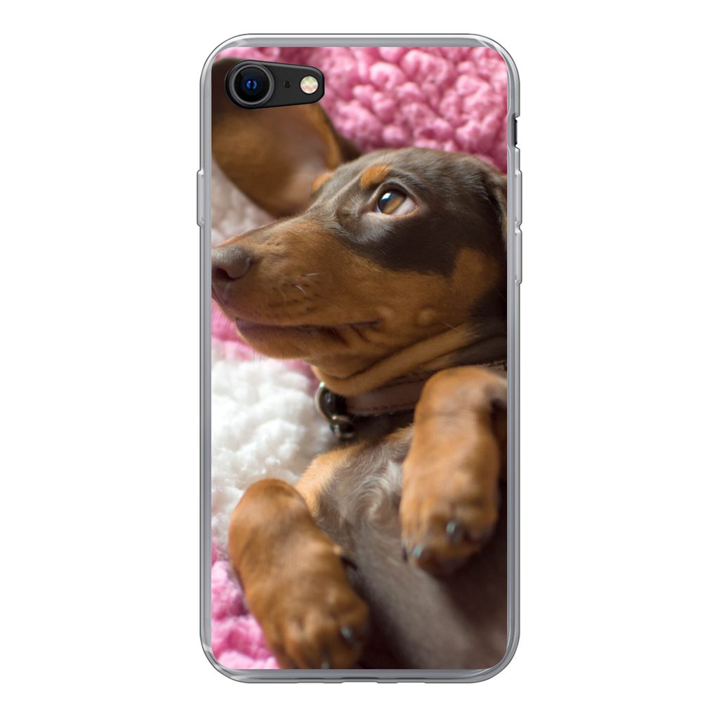 MuchoWow Handyhülle Schutzhülle Hülle für iPhone 8 Ein Dackelwelpe auf einer rosa Decke Silikon Softcase Handy Hülle - Schutzhaube