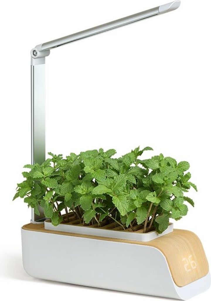 A smart indoor herb garden with a built-in LED grow light.