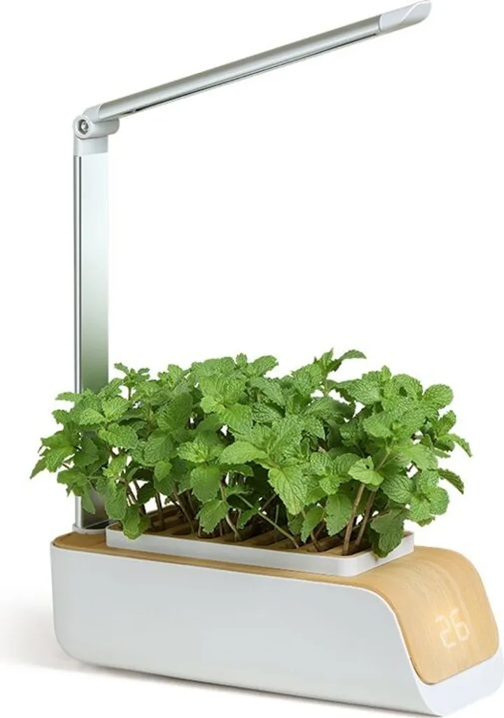 Jardin d'Intérieur Intelligent BOT avec Lampe LED en Bois et Blanc