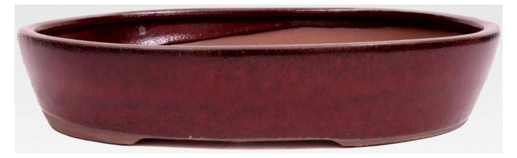 Bonsai - Schale oval 32 x 27,5 x 6,5 cm Bordeaux