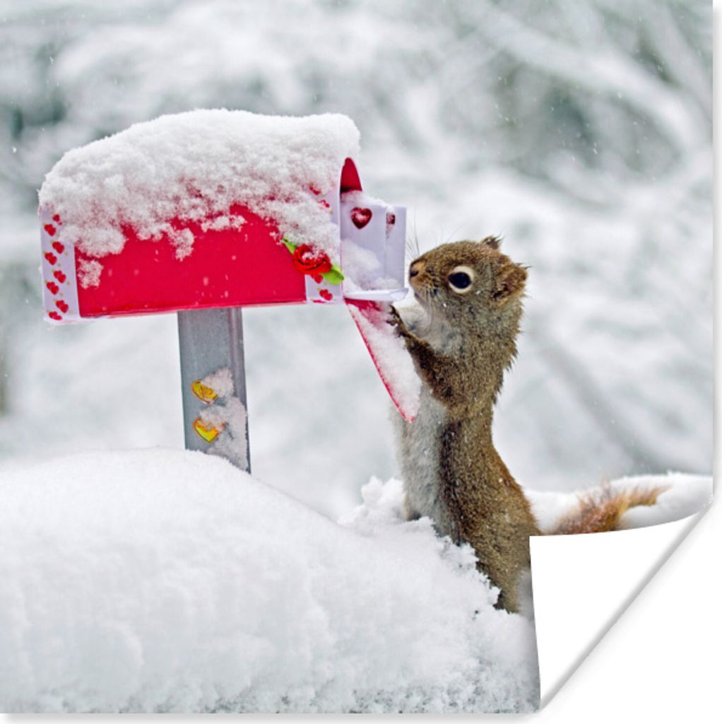 MuchoWow Poster Eichhörnchen - Briefkasten - Schnee - Winter 100x100 cm - Babyzimmer