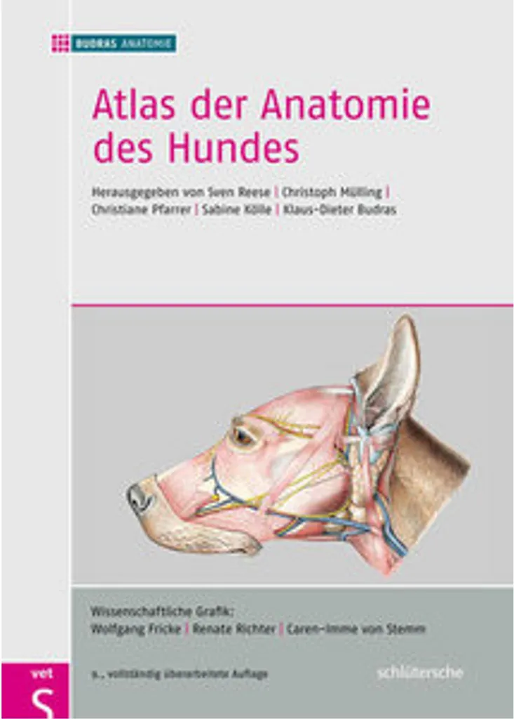 Atlas der Anatomie des Hundes : outil d'étude pour examen vétérinaire