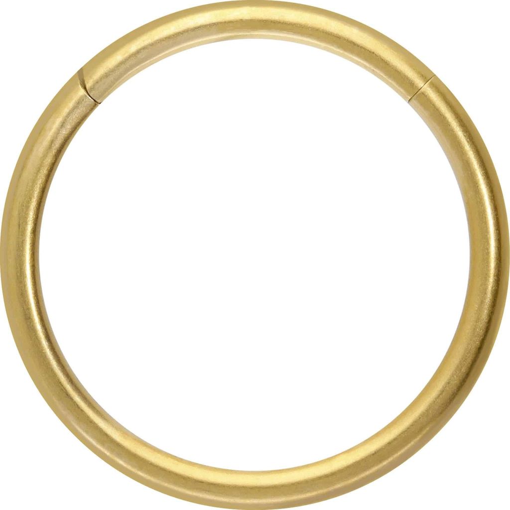 Ohrpiercing, Nasenpiercing, Septum Piercing Titan Segmentring Clicker MATT Gold Innendurchmesser: 14mm + Stabstärke: 1,6mm