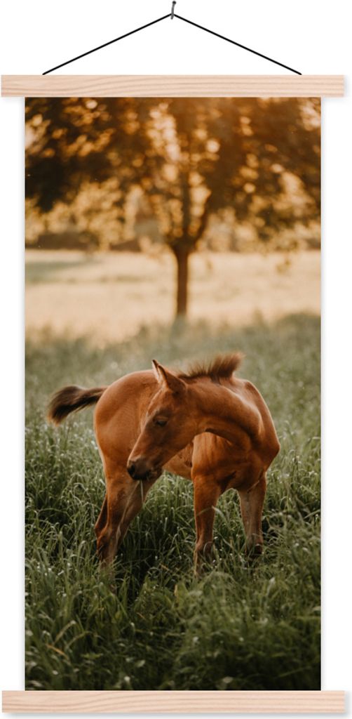MuchoWow Textilposter Pferd - Gras - Baum 60x120 cm mit holzfarbenen Rahmen - Holz
