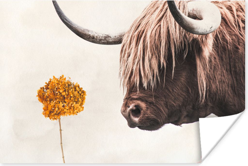 MuchoWow Poster Schottischer Highlander - Blume - Orange 60x40 cm - Schlafzimmerdekoration