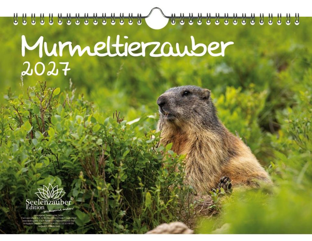 Murmeltierzauber DIN A4 Kalender für 2027 Murmeltier - Seelenzauber