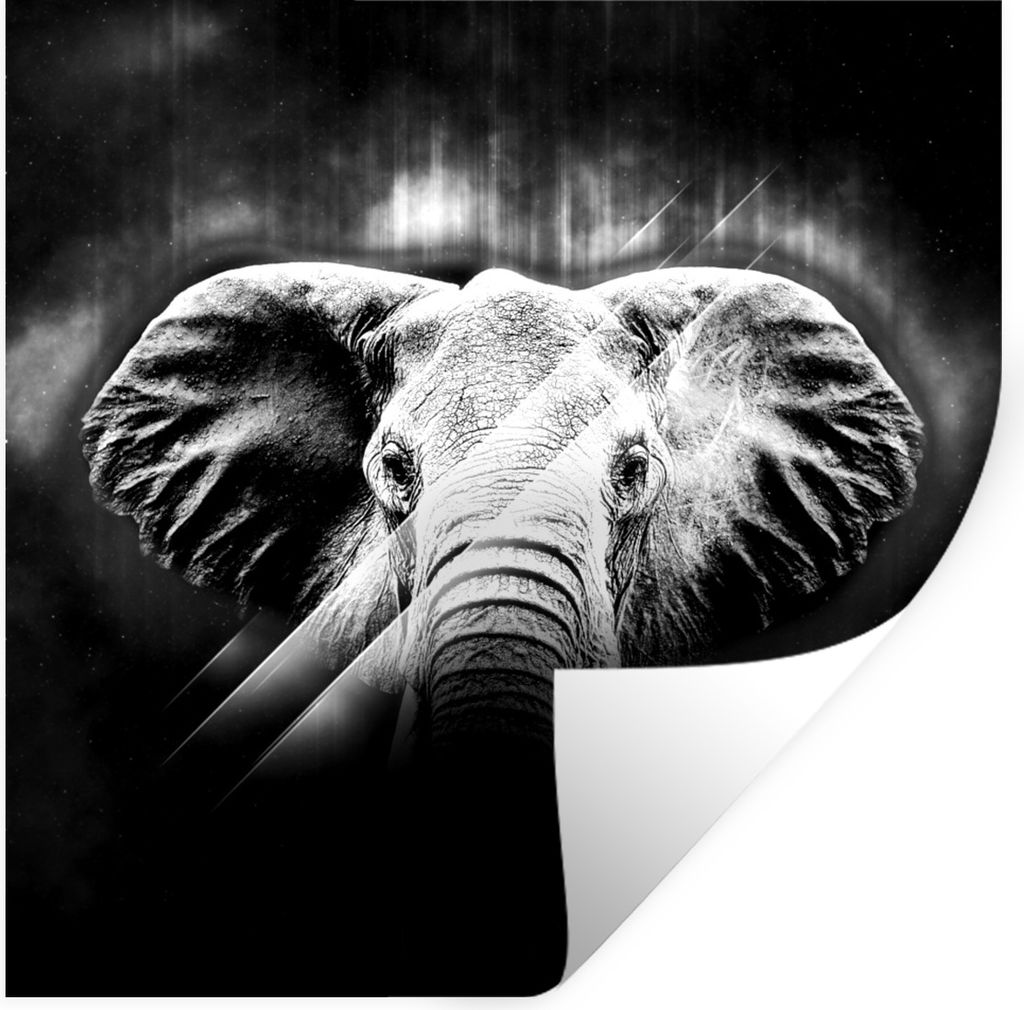 MuchoWow Wandtattoo Wandsticker Wandaufkleber Elefant - Linie - Licht - Schwarz - Weiß 30x30 cm Selbstklebend und Repositionierbar - Repositioni...