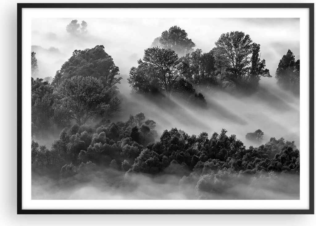 Gerahmtes Poster - Schwarzer Rahmen - Schwarzweiß Bäume Nebel - 100x70 cm - Wand Bild - Wanddeko - Wandbilder - Kunstposter - Wandposter - Bilder...