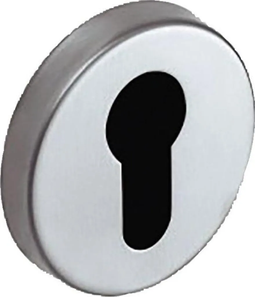 Rosace fonction clé I Assa Abloy chrome velours anticorrosion et esthétique