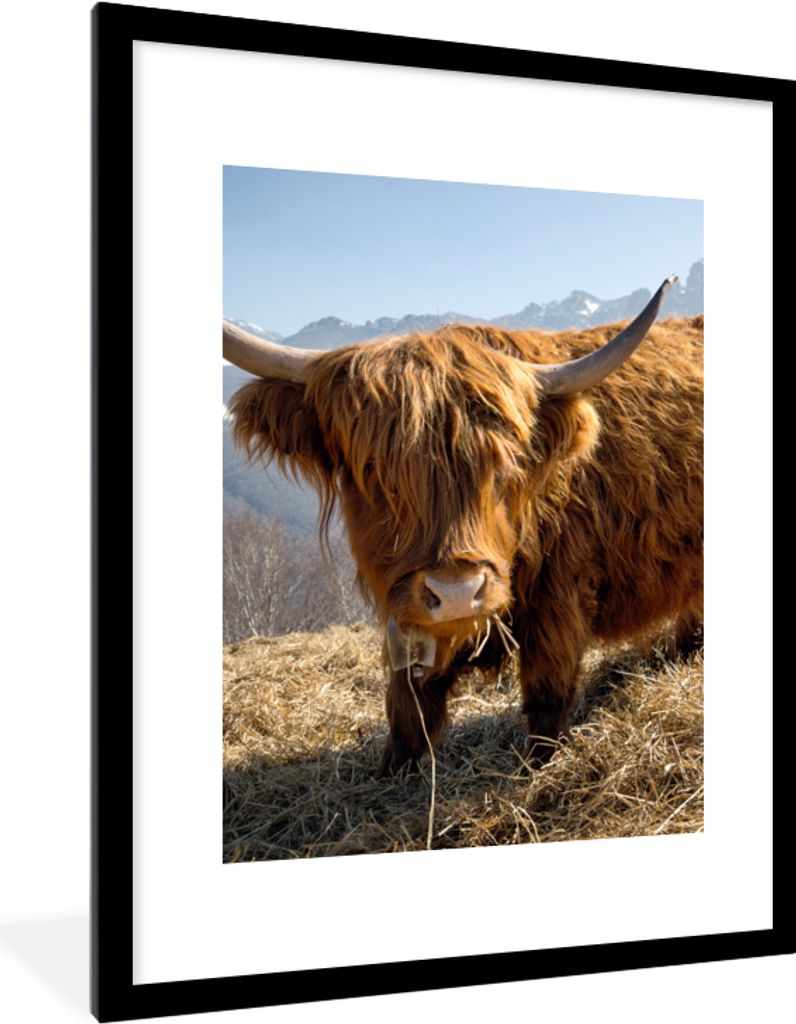 MuchoWow Gerahmtes Poster Schottischer Highlander - Berg - Schnee 60x80 cm - Poster mit Schwarzem Bilderrahmen Wandposter Rahmen Foto Bilder - Wo...