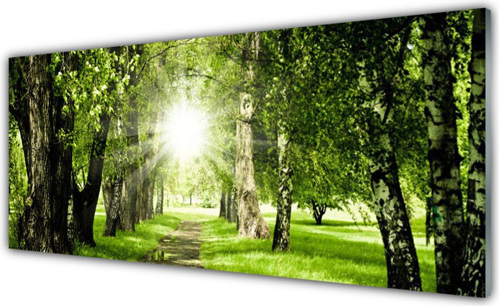 Küchenrückwand aus Glas 125x50cm Spritzschutz Wald Sonne Fußpfad Natur