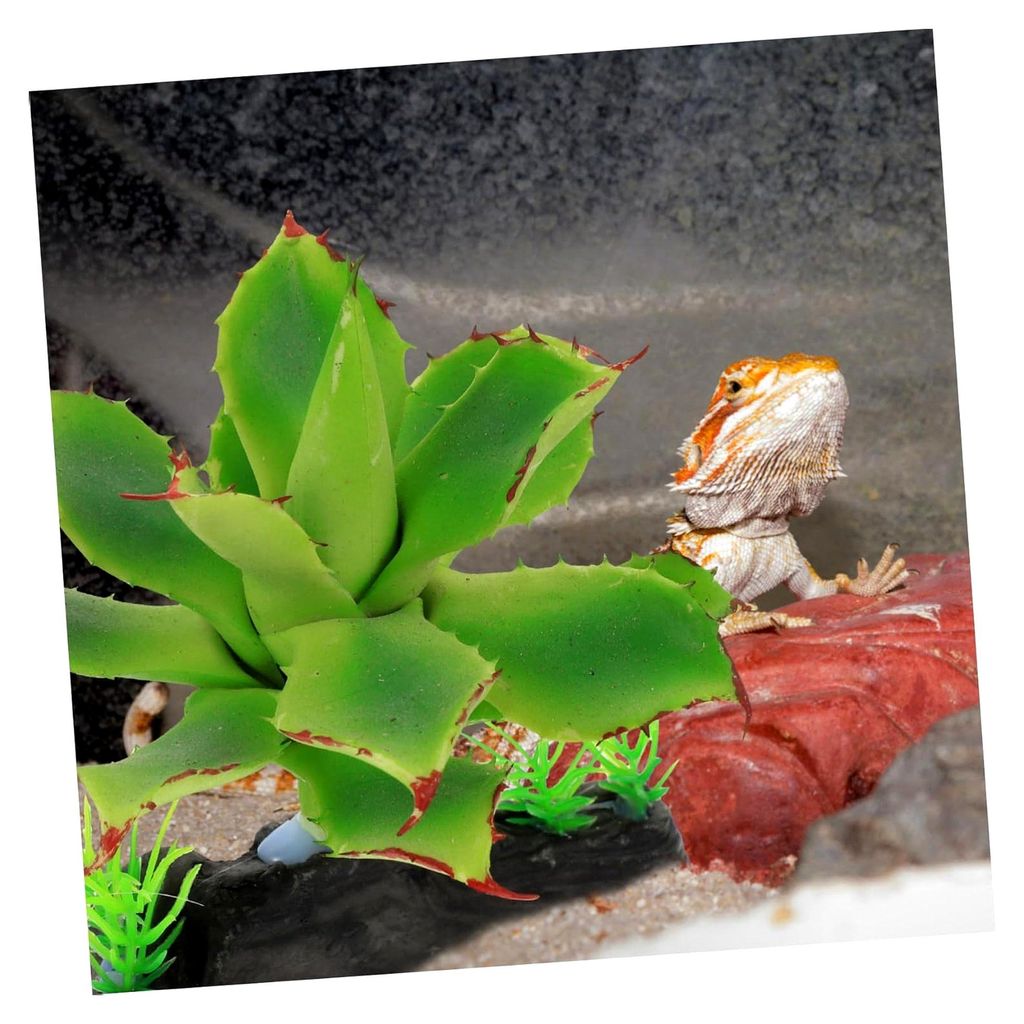 Transparente Terrariumpflanze aus Kunststoff für die Dekoration von Aquarien und Terrarien für Reptilien und Amphibien