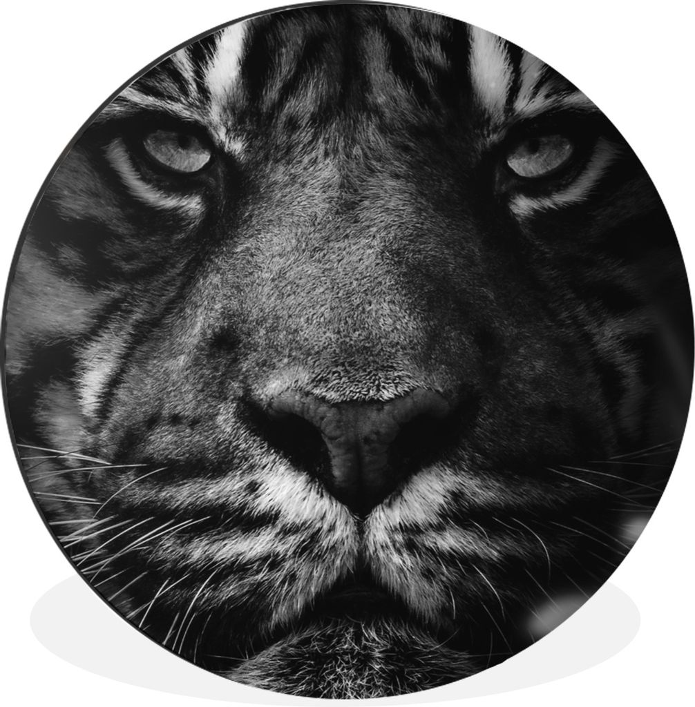MuchoWow Aluminium Wandkreis Tiere - Tiger - Wild - Schwarz - Weiß Ø 90 cm Wanddeko Modern Wohnzimmer - Mauerkreis - Wandbilder - Runde Bild - ...