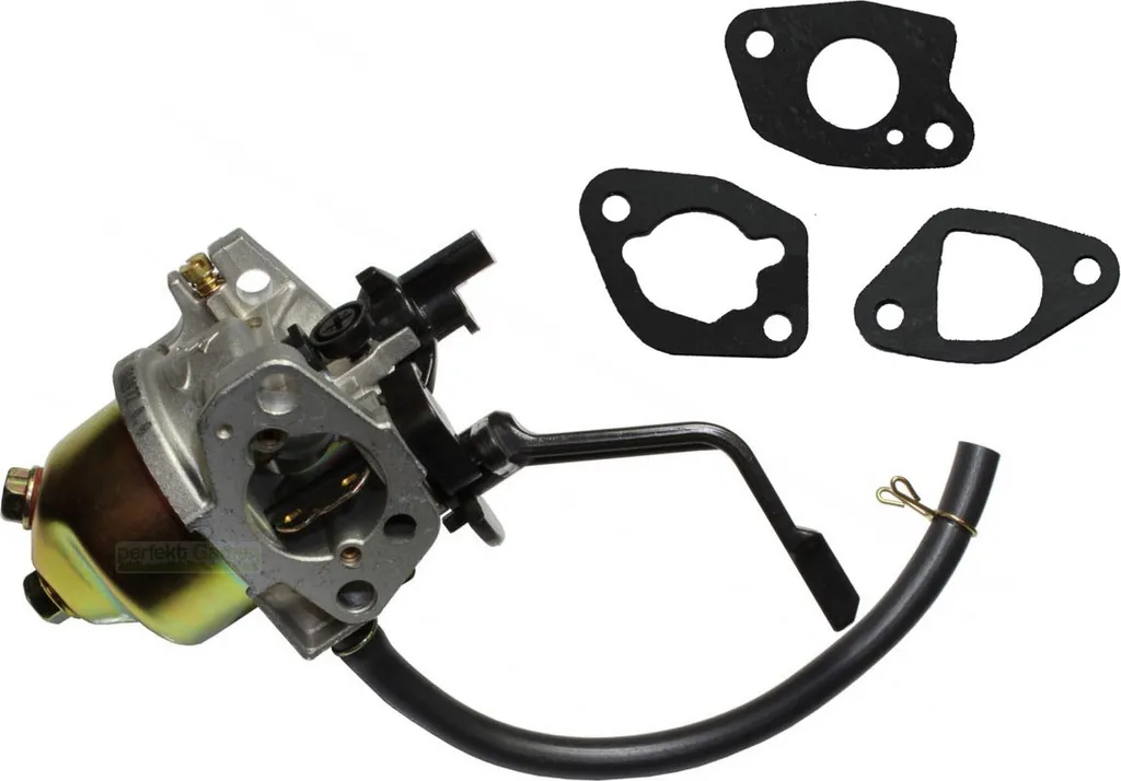 Carburatore per Generatore Einhell Serie PG 2500 2800 3000 Ricambio