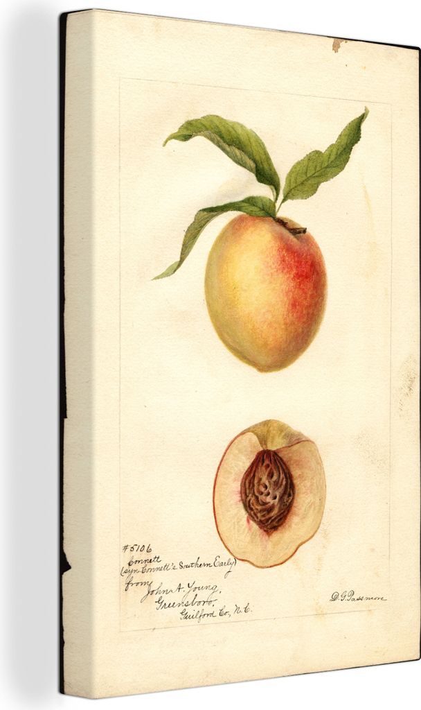 OneMillionCanvasses - Leinwandbilder - 90x140 cm, Connetts Southern Early - Gemälde von Deborah Griscom Passmore, Wandbilder Kunstdruck Wanddeko...