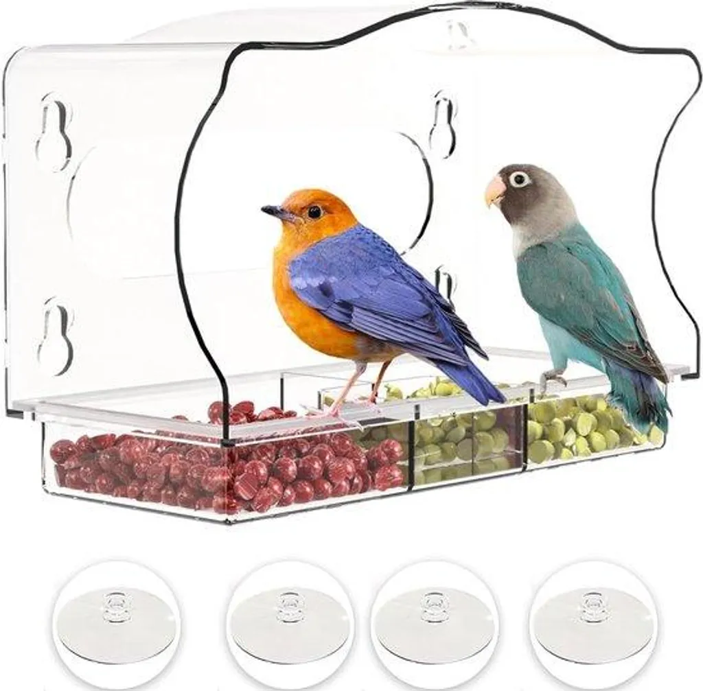 Mangeoire oiseaux fenêtre en acrylique avec 3 ventouses et amovible