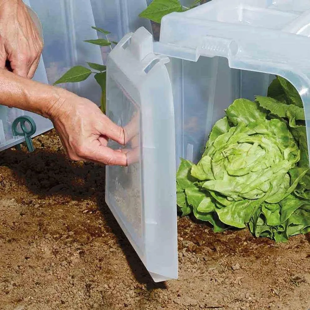 Cloche de culture tunnel Sunny pour potager - Pack de 2 haute qualité