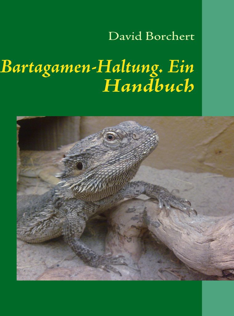 Bartagamen-Haltung