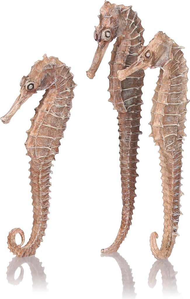 biOrb seahorse 3 pack natural Obrázek produktu 