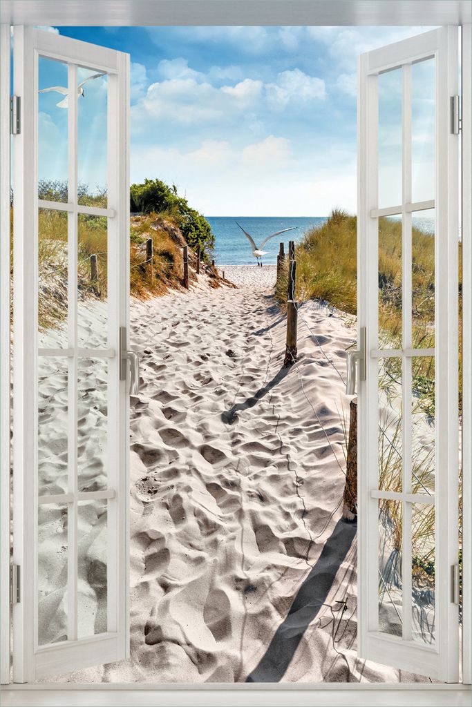 Wallario Wandbild aus Acryl, 60 x 90 cm, freischwebende Optik - Möwen auf dem Weg zum Strand mit Fenster-Illusion