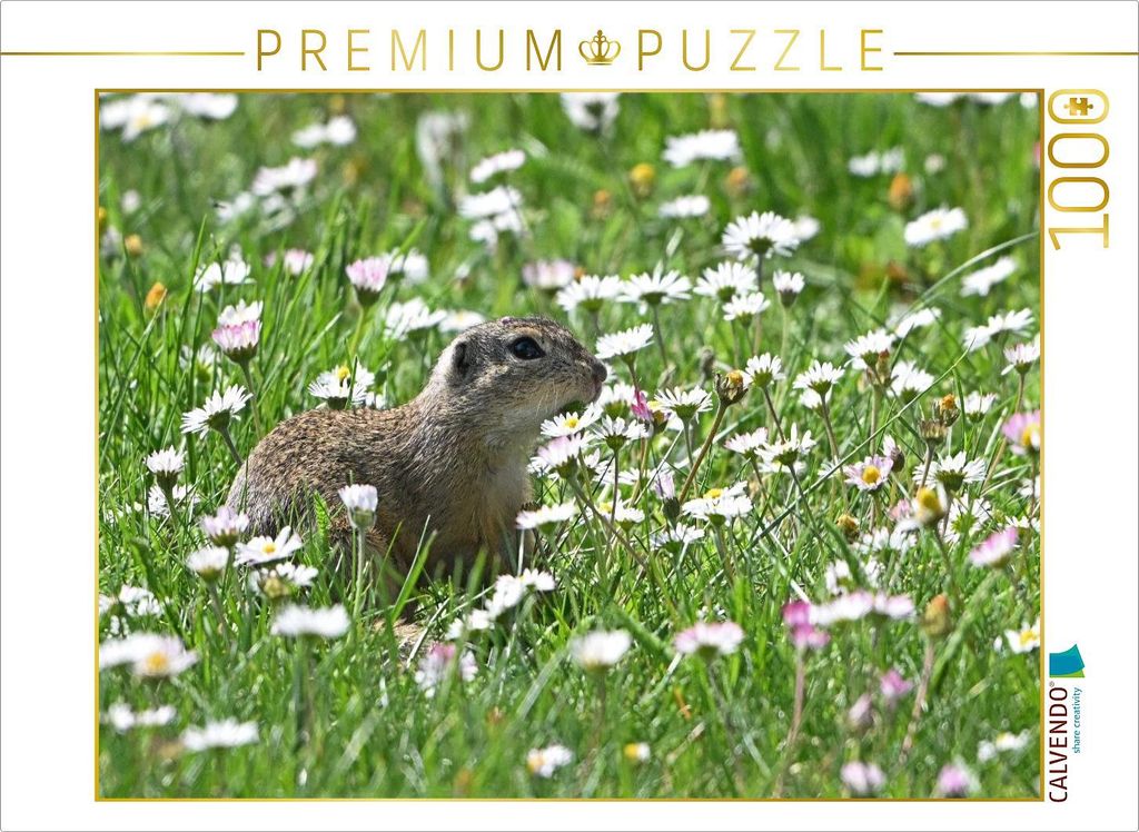 CALVENDO Puzzle Immer wieder lecker | 1000 Teile Lege-Größe 64x48cm Foto-Puzzle für glückliche Stunden
