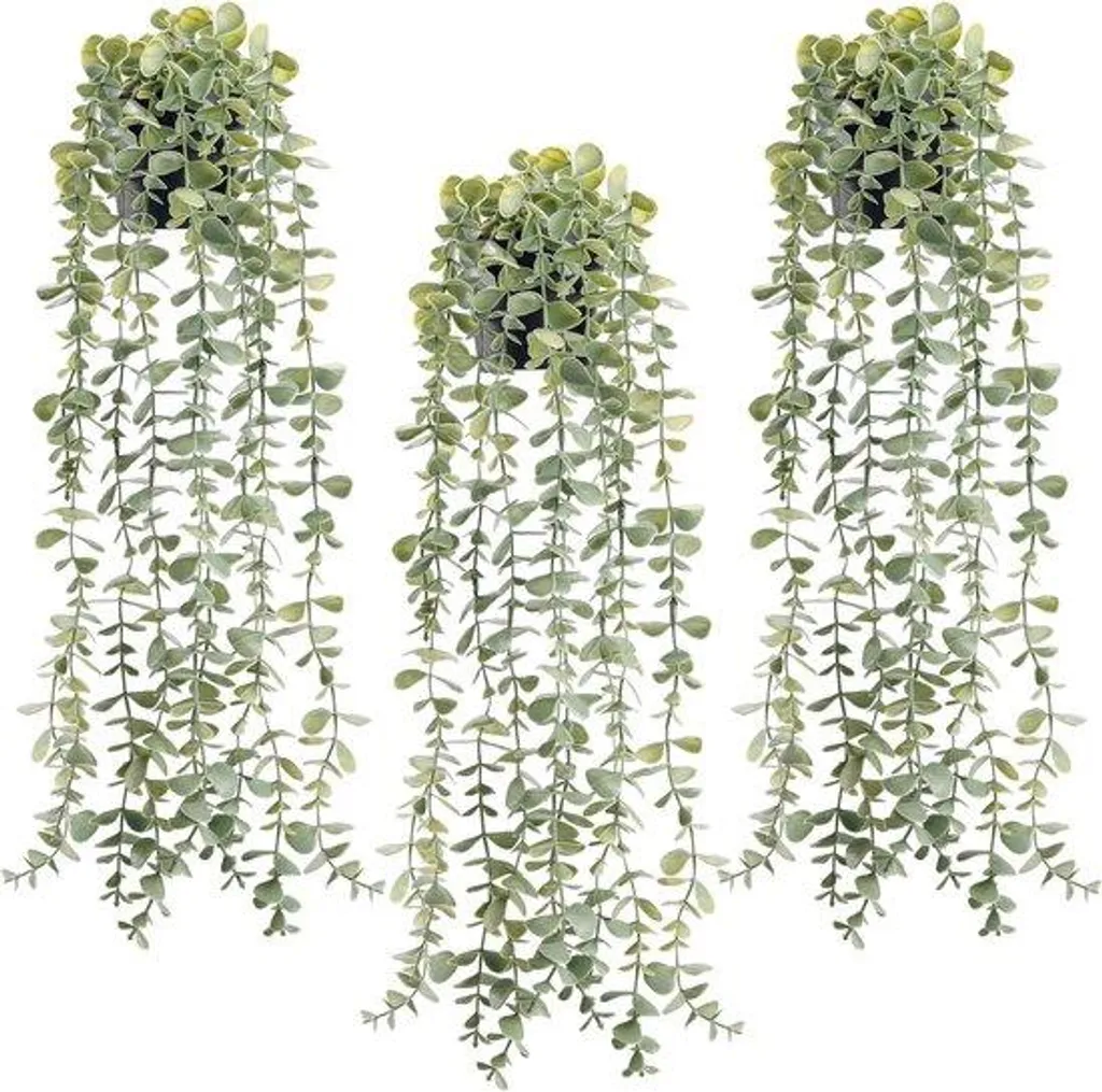 Plantes artificielles d'eucalyptus : Lot de 3 décorations murales bohème