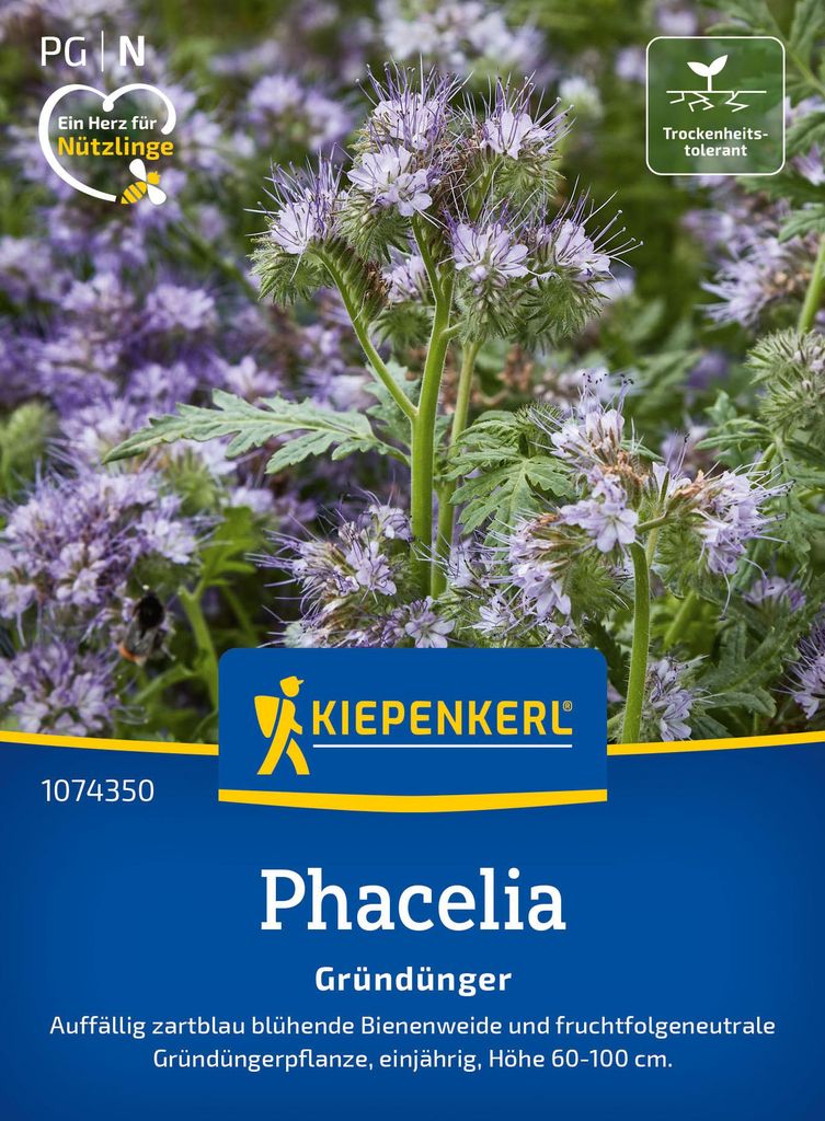 Artikelbild 2 von 'Phacelia Bienenfreund (50 g)' aus der Kategorie Gründünger & -düngung