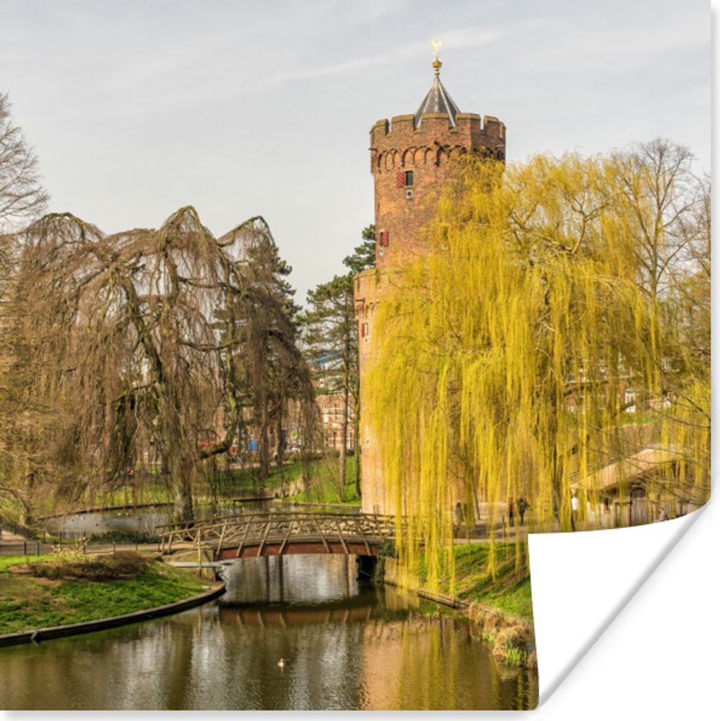 MuchoWow Poster Wasser - Baum - Nijmegen 50x50 cm - Wohnzimmerdekoration