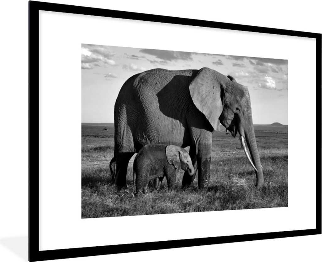 MuchoWow Gerahmtes Poster Mutter und Baby Elefant durch die Savanne - schwarz und weiß 90x60 cm - Poster mit Schwarzem Bilderrahmen Wandposter R...