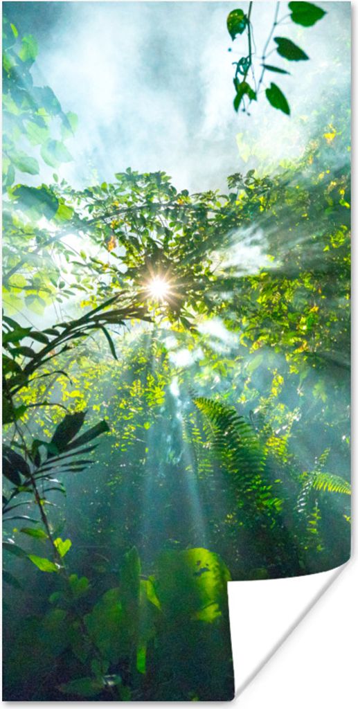 MuchoWow Poster Sonnenlicht scheint auf eine Höhle im Regenwald von Malaysia 60x120 cm - Wandschmuck
