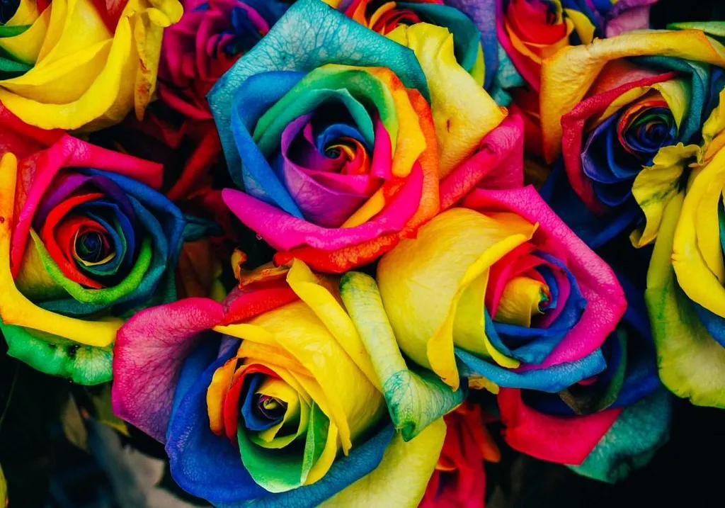 Puzzle floral Bouquet de roses Grafika 1000 pièces haute qualité