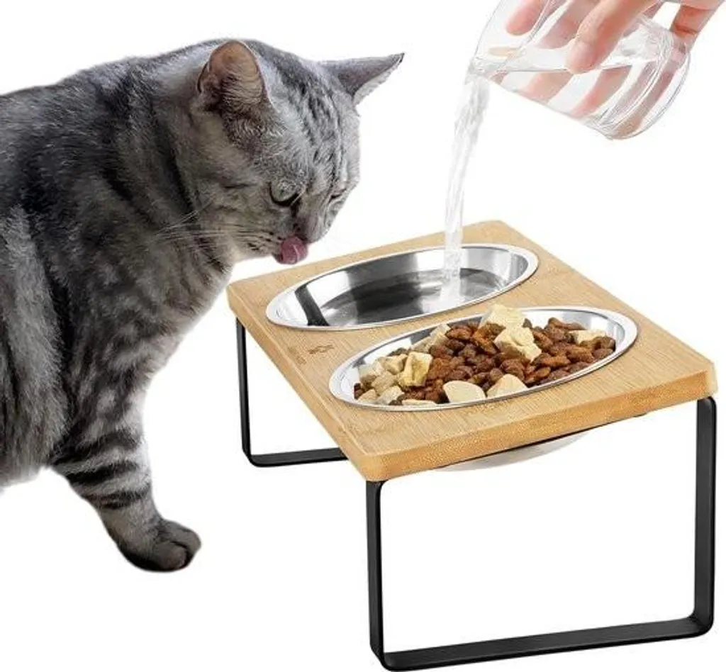 Station de repas bois pour chat senior ou sensible : confort et digestion