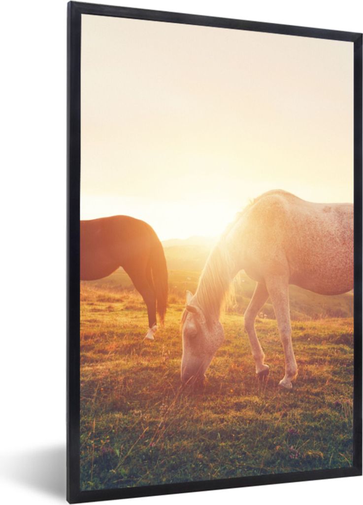MuchoWow Gerahmtes Poster Pferde - Sonne - Tiere 20x30 cm - Poster mit Schwarzem Bilderrahmen Wandposter Rahmen Foto Bilder - Drucken - Bilder Po...