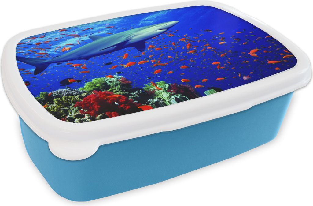 KitchenYeah Lunchbox Brotzeit Brotdose 17x11 cm Hai am Korallenriff Kinder Brotzeitdose - Lunch - Kunststoff - Brotbüchse - Sandwichbox - Lunch...