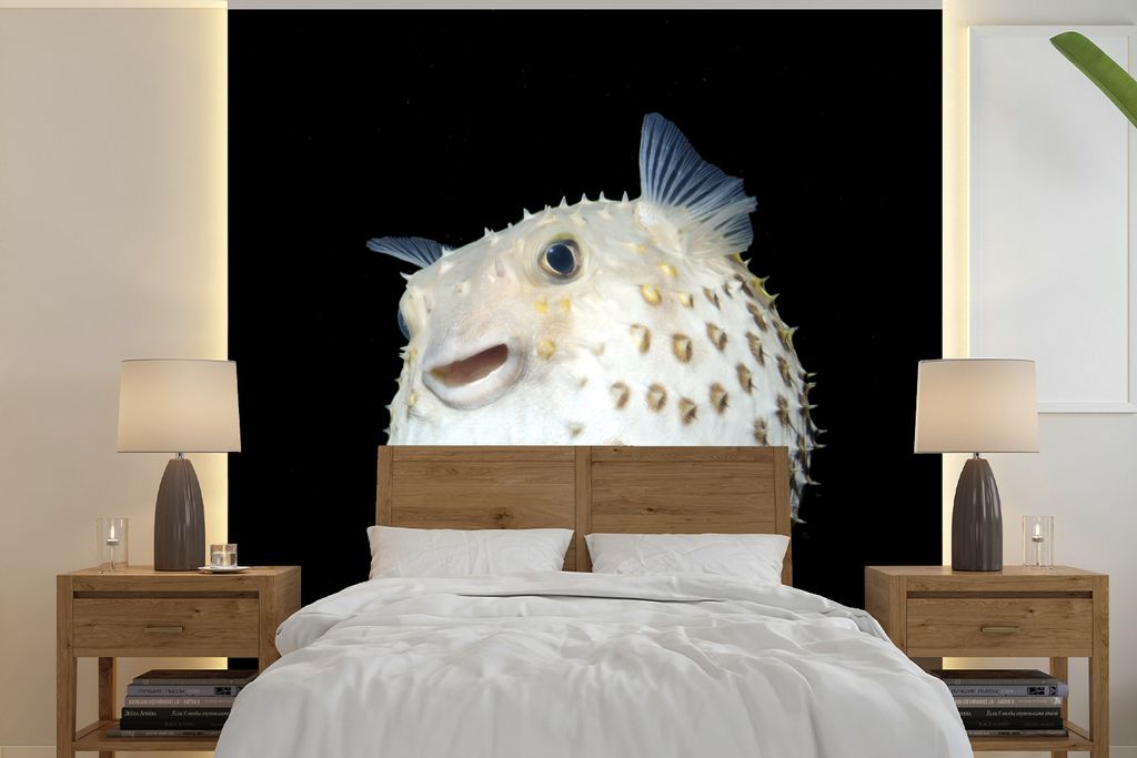 MuchoWow Fototapete für Wohnzimmer oder Schlafzimmer Wandtapete Vinyl Motivtapete Fische - Meerestiere - Porträt - 240x240 cm - Schlafzimmer-Ta...