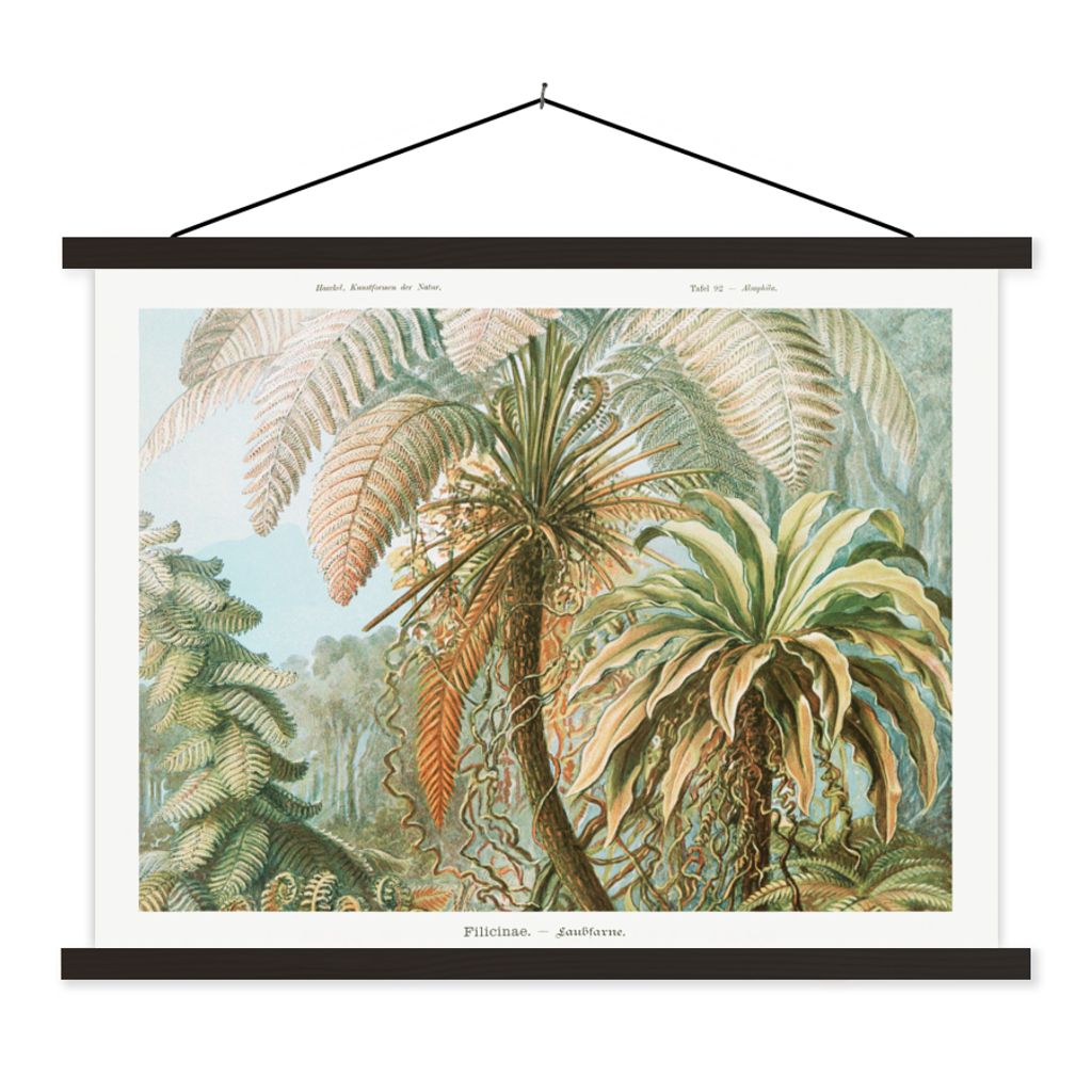 MuchoWow Textilposter Vintage - Alte Meister - Farne - Pflanzen - Natur 60x45 cm mit schwarzem Rahmen - Poster Schlafzimmer
