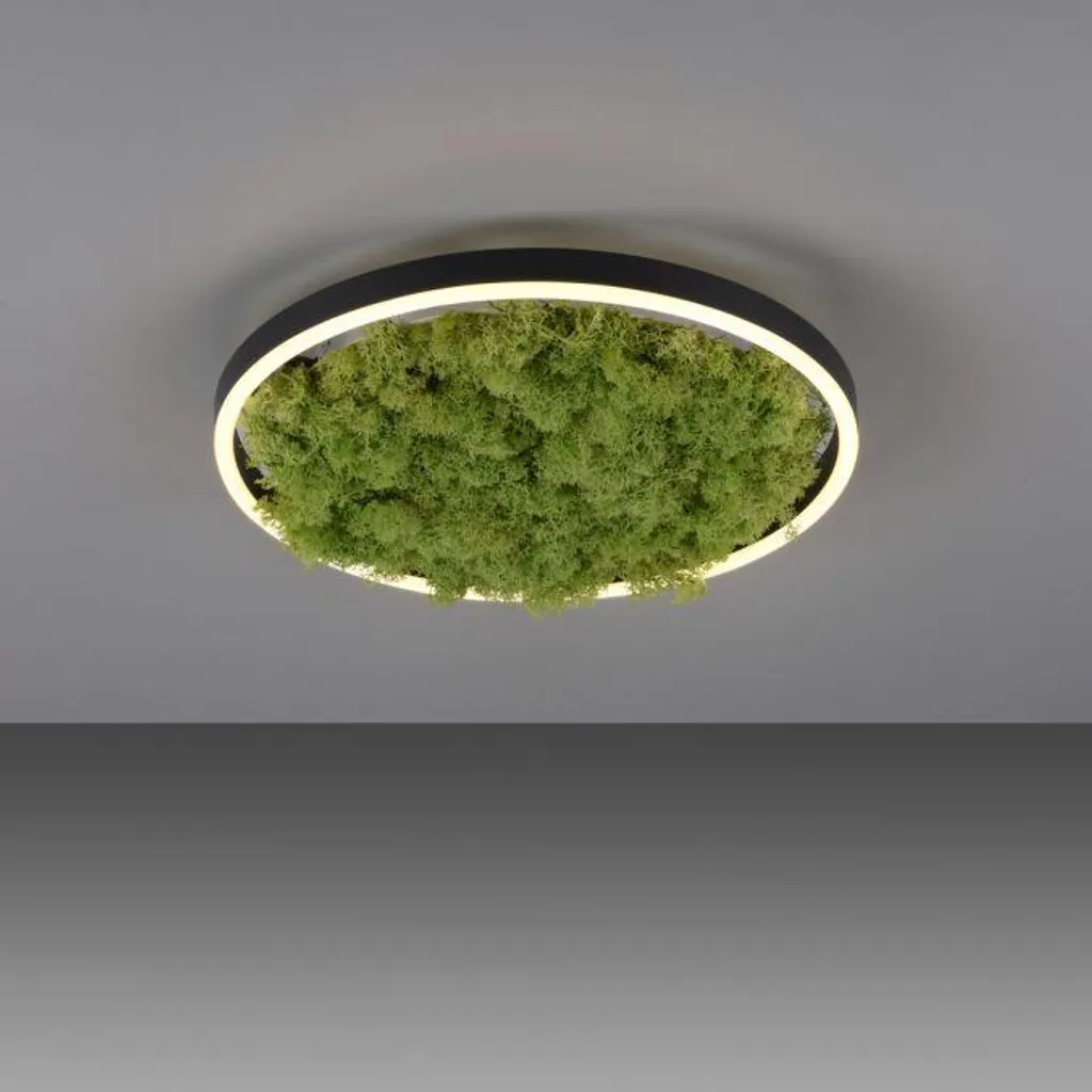 Plafonnier LED Dimmable Vert Mousse 20W : Éclairage Anti-Éblouissement