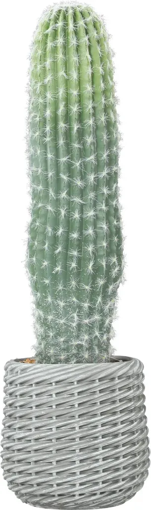 Cactus artificiel 66 cm en polypropylène haute densité vert foncé