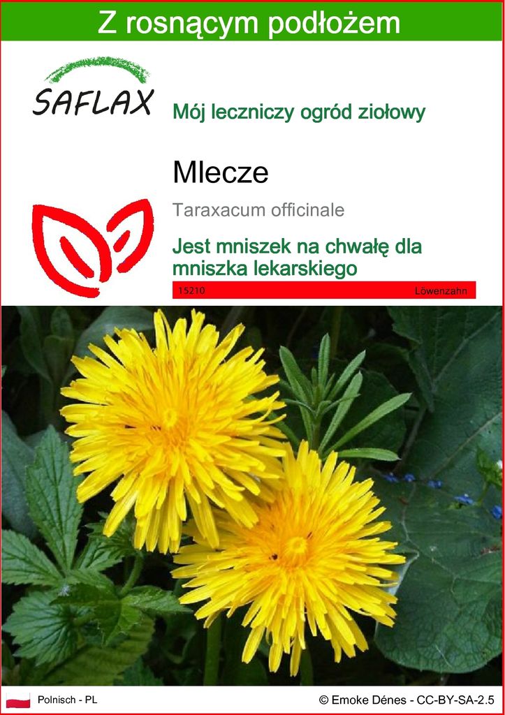 SAFLAX - Mlecze - 200 Nasiona - Z podłożem uprawowym wolnym Zdjęcie produktu 
