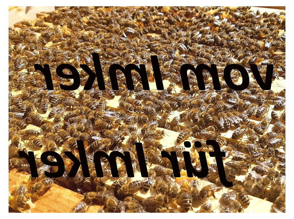 Achtung vor dem Imker - Bienen sind harmlos Warnschild