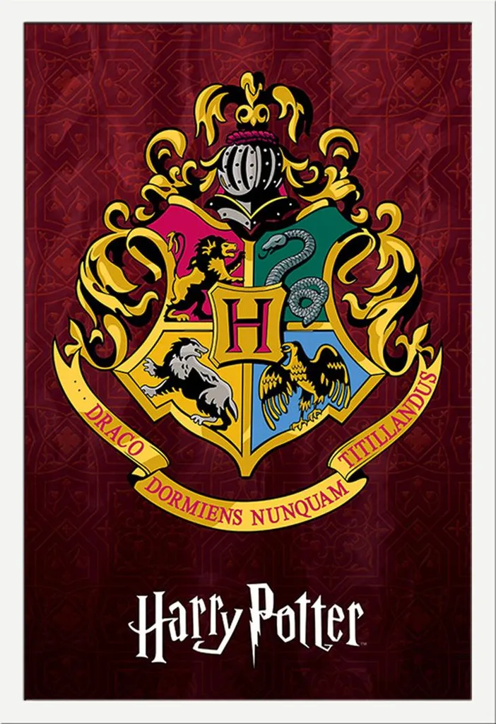 Poster Poudlard Harry Potter avec Cadre Shinsuke Blanc et Vitre Acrylique