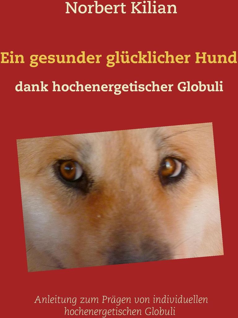 Ein gesunder glücklicher Hund dank hochenergetischer Globuli