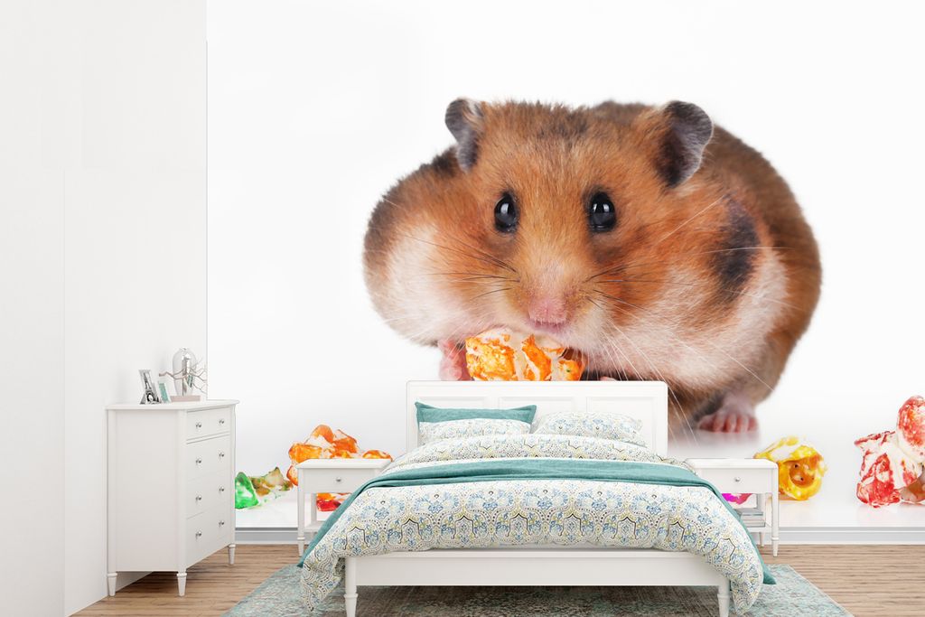 MuchoWow Fototapete für Wohnzimmer oder Schlafzimmer Wandtapete Vinyl Motivtapete Hamster frisst buntes Futter - 360x260 cm - Wohnzimmer tapete