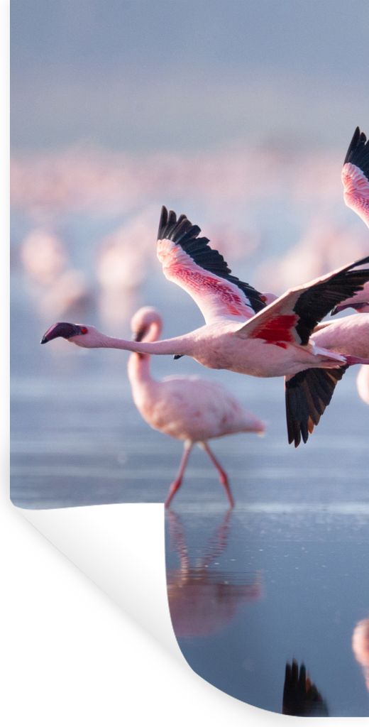 MuchoWow Wandtattoo Wandsticker Wandaufkleber Flamingo - Vogel - Wasser - Rosa 60x120 cm Selbstklebend und Repositionierbar - Selbstklebend - Fot...