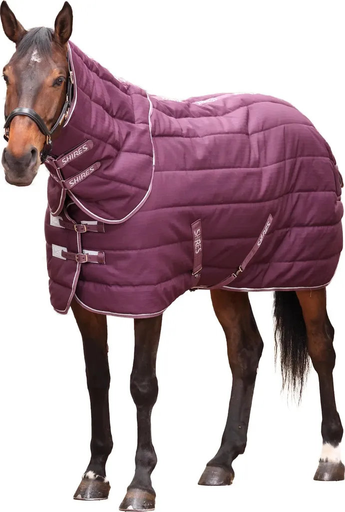 Couverture de box avec couvre-cou Tempest Original 168cm pour chevaux ER2216